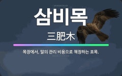 🌟삼비목: 목장에서, 말의 관리 비용으로 책정하는 포목. - 표준국어대사전