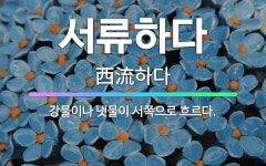 🌟서류하다: 강물이나 냇물이 서쪽으로 흐르다. - 표준국어대사전