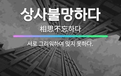 🌟상사불망하다: 서로 그리워하여 잊지 못하다. - 표준국어대사전