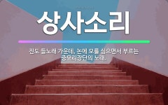 🌟상사소리: 진도 들노래 가운데, 논에 모를 심으면서 부르는 중모리장단의 노래. - 표준국어대사전