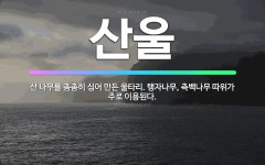🌟산울: 산 나무를 촘촘히 심어 만든 울타리. 탱자나무, 측백나무 따위가 주로 이용된다. - 표준국어대사전