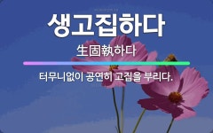 🌟생고집하다: 터무니없이 공연히 고집을 부리다. - 표준국어대사전