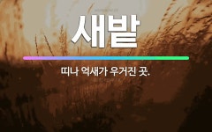 🌟새밭: 띠나 억새가 우거진 곳. - 표준국어대사전