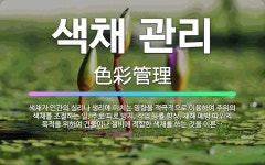 🌟색채 관리: 색채가 인간의 심리나 생리에 미치는 영향을 적극적으로 이용하여 주위의 색채를 조절하는 일. ... - 표준국어대사전