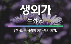 🌟생외가: 양자로 간 사람의 생가 쪽의 외가. - 표준국어대사전