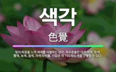 🌟색각: 빛의 파장을 느껴 색채를 식별하는 감각. 척추동물은 대개 적색, 등색, 황색, 녹색, 청색, 자색... - 표준국어대사전