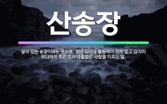 🌟산송장: 살아 있는 송장이라는 뜻으로, 살아 있으나 활동력이 전혀 없고 감각이 무디어져 죽은 것과 다름없... - 표준국어대사전