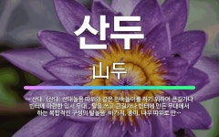 🌟산두: → 산대. (산대: 산대놀음 따위와 같은 민속놀이를 하기 위하여 큰길가나 빈터에 마련한 임시 무대... - 표준국어대사전