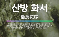 🌟산방 화서: 무한 화서의 하나. 총상 화서와 산형 화서의 중간형이 되는 화서이며, 꽃가지가 아래에서 위로... - 표준국어대사전
