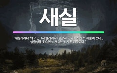 🌟새실: ‘새실거리다’의 어근. (새실거리다: 점잖지 아니하게 자꾸 까불며 웃다., 생글생글 웃으면서 재미... - 표준국어대사전