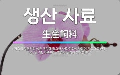 🌟생산 사료: 가축의 기본적인 생존 유지에 필요한 사료 이외에 사람이 가축으로부터 고기, 알, 털, 가죽 ... - 표준국어대사전