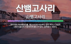 🌟산뱀고사리: 면마과의 여러해살이풀. 뱀고사리와 비슷하나 잎이 처지고 잔잎의 너비가 좁으며 가장자리에 톱니... - 표준국어대사전