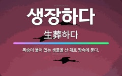 🌟생장하다: 목숨이 붙어 있는 생물을 산 채로 땅속에 묻다. - 표준국어대사전