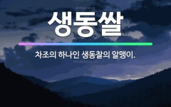 🌟생동쌀: 차조의 하나인 생동찰의 알맹이. - 표준국어대사전