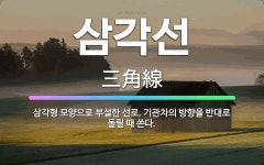 🌟삼각선: 삼각형 모양으로 부설한 선로. 기관차의 방향을 반대로 돌릴 때 쓴다. - 표준국어대사전