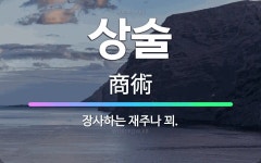 🌟상술: 장사하는 재주나 꾀. - 표준국어대사전