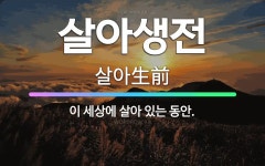 🌟살아생전: 이 세상에 살아 있는 동안. - 표준국어대사전