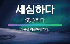 🌟세심하다: 마음을 깨끗하게 하다. - 표준국어대사전