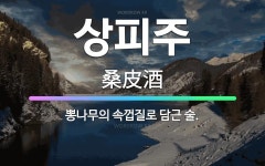 🌟상피주: 뽕나무의 속껍질로 담근 술. - 표준국어대사전