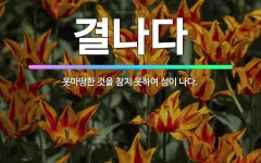 🌟결나다: 못마땅한 것을 참지 못하여 성이 나다. - 표준국어대사전