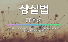 🌟상실법: 문장 수사법의 하나. 사물을 있는 그대로 표현하기 위하여 면밀하고 상세하게 서술한다. - 표준국어대사전