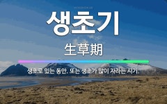 🌟생초기: 생초로 있는 동안. 또는 생초가 많이 자라는 시기. - 표준국어대사전