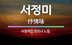 🌟서정미: 서정적인 맛이나 느낌. - 표준국어대사전