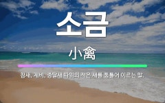 🌟소금: 참새, 제비, 종달새 따위의 작은 새를 통틀어 이르는 말. - 표준국어대사전