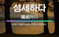 🌟섬세하다: 곱고 가늘다., 매우 찬찬하고 세밀하다. - 표준국어대사전