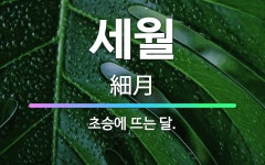 🌟세월: 초승에 뜨는 달. - 표준국어대사전