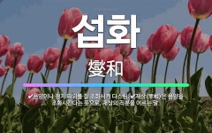🌟섭화: 음양이나 정치 따위를 잘 조화시켜 다스림., 재상(宰相)은 음양을 조화시킨다는 뜻으로, 재상의 직... - 표준국어대사전