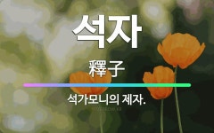 🌟석자: 석가모니의 제자. - 표준국어대사전