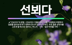 🌟선뵈다: ‘선보이다’의 준말. (선보이다: 인물의 좋고 나쁨, 마땅함과 마땅하지 않음을 알아보게 하기 위... - 표준국어대사전
