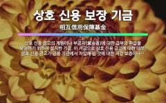 🌟상호 신용 보장 기금: 상호 신용 금고의 계원이나 부금자(賦金者)에 대한 급부와 환급을 보장하기 위하여 ... - 표준국어대사전
