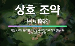 🌟상호 조약: 제삼국보다 유리한 조건을 주고받기로 하고 맺는, 두 국가 사이의 조약. - 표준국어대사전