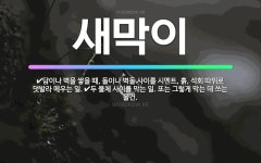 🌟새막이: 두 물체 사이를 막는 일. 또는 그렇게 막는 데 쓰는 물건., 담이나 벽을 쌓을 때, 돌이나 벽... - 표준국어대사전