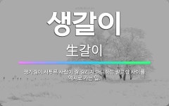 🌟생갈이: 쟁기질이 서투른 사람이 잘 갈리지 아니하는 밭고랑 사이를 억지로 가는 일. - 표준국어대사전