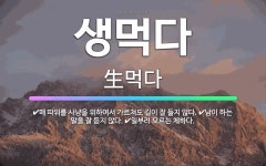 🌟생먹다: 남이 하는 말을 잘 듣지 않다., 매 따위를 사냥을 위하여서 가르쳐도 길이 잘 들지 않다., 일... - 표준국어대사전