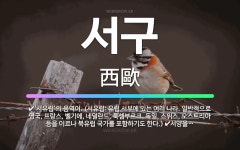 🌟서구: ‘서유럽’의 음역어. (서유럽: 유럽 서부에 있는 여러 나라. 일반적으로 영국, 프랑스, 벨기에,... - 표준국어대사전