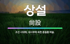 🌟상설: 조선 시대에, 내시부에 속한 종칠품 벼슬. - 표준국어대사전