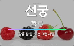 🌟선궁: 활을 잘 쏨. 또는 그런 사람. - 표준국어대사전