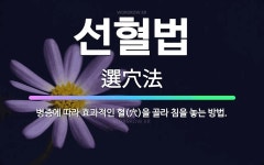🌟선혈법: 병증에 따라 효과적인 혈(穴)을 골라 침을 놓는 방법. - 표준국어대사전