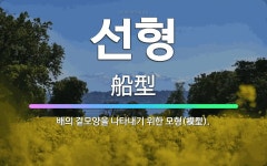 🌟선형: 배의 겉모양을 나타내기 위한 모형(模型). - 표준국어대사전