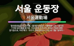 🌟서울 운동장: ‘동대문운동장’의 전 이름. (동대문 운동장: 서울특별시 중구 을지로 7가에 있는 종합 경... - 표준국어대사전