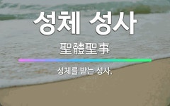 🌟성체 성사: 성체를 받는 성사. - 표준국어대사전