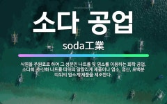 🌟소다 공업: 식염을 주원료로 하여 그 성분인 나트륨 및 염소를 이용하는 화학 공업. 소다회, 수산화 나트... - 표준국어대사전