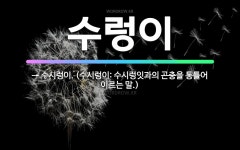 🌟수렁이: → 수시렁이. (수시렁이: 수시렁잇과의 곤충을 통틀어 이르는 말.) - 표준국어대사전