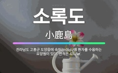 🌟소록도: 전라남도 고흥군 도양읍에 속하는 섬. 나병 환자를 수용하는 요양원이 있다. 면적은 4.42㎢. - 표준국어대사전