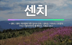 12Cm김밥센티미터 | 🌟센치: → 센티. (센티: 미터법에 의한 길이의 단위. 1센티는 1미터의 100분의 1이고 1밀리미터의 ... - 표준국어대사전