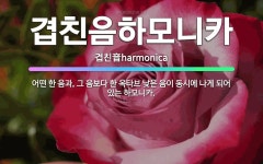 🌟겹친음하모니카: 어떤 한 음과, 그 음보다 한 옥타브 낮은 음이 동시에 나게 되어 있는 하모니카. - 표준국어대사전